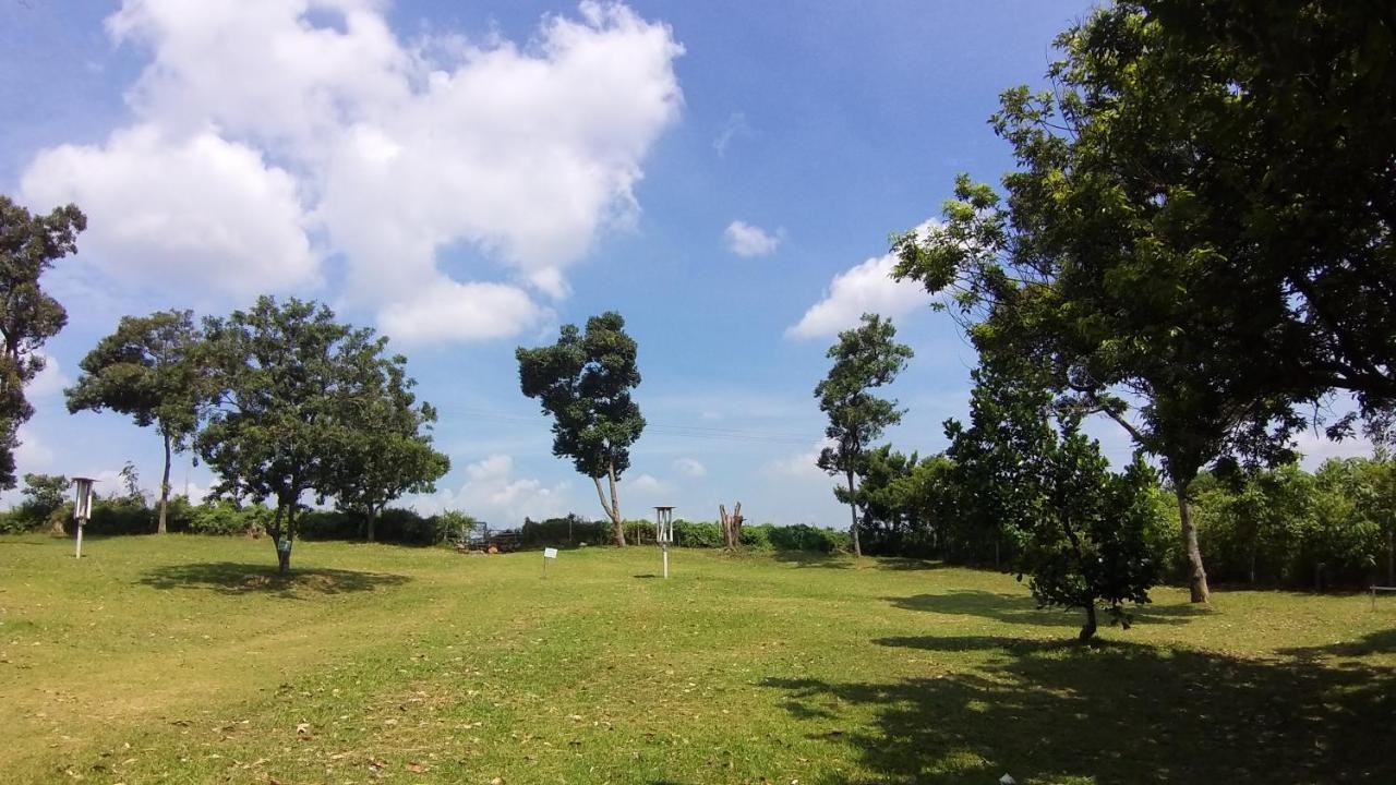Seri Dusun Sepang Homestay&Event Space Luaran gambar